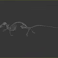 Detailed Rat Skeleton Anatomical Model Isolated On Dark Background For Scientific Study 3d model