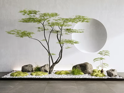 Zen Style Courtyard Garden With Green Tree Circular Wall Opening Stones White Pebbles And Moss 3d model