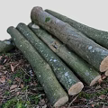 Wood pile trees wood firewood stump scanning stump root tree old tree dead tree scanning tree 3d model
