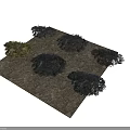Multiple Green Plant Clumps With Various Dark And Light Green Shades