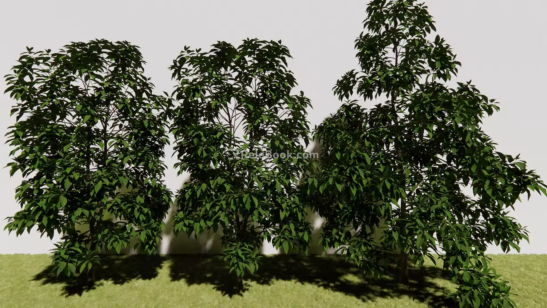 The Modern Tree 3d model