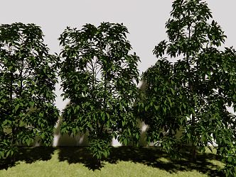 The Modern Tree 3d model