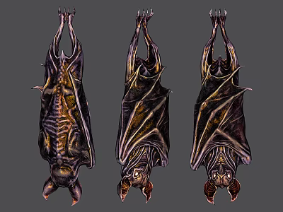 Game Movie Character Three Bats Hanging Upside Down With Intricate Wing Details 3d model