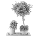 Cylindrical Tree Planter with Lush Green Trees and Black Pebbles on Wooden Platform