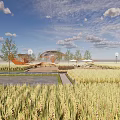 Rural Landscape With Golden Rice Fields Wooden Structure Pathway Trees And Blue Sky