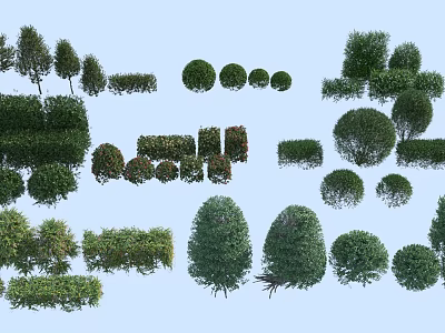 Different Shapes And Sizes Of Decorative Shrubs For Garden Landscape Design 3d model