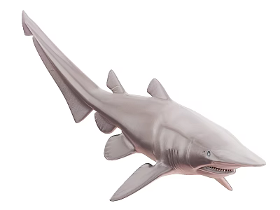 Realistic Gray Shark Aquatic Animal Model With Open Mouth And Fins 3d model
