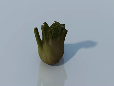 Fresh Green Fennel Bulb Vegetable With Green Leaves On White Smooth Surface 3d model