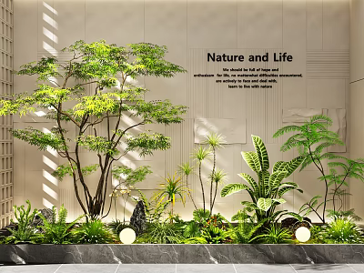 Indoor Landscape Design With Lush Green Plants Nature and Life Wall And Sunlight Shadows 3d model