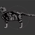 Gray And White Striped Cat Standing On Reflective Floor With Gray Background