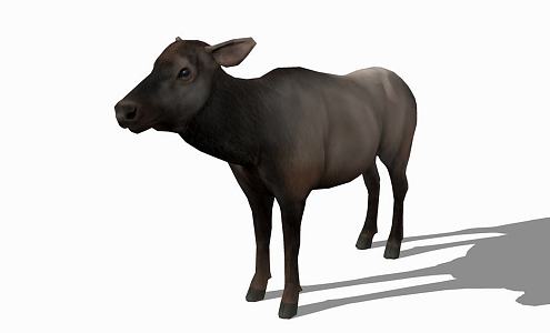 Modern Cattle Animal Cow 3d model