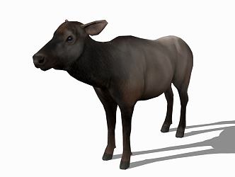 Modern Cattle Animal Cow 3d model