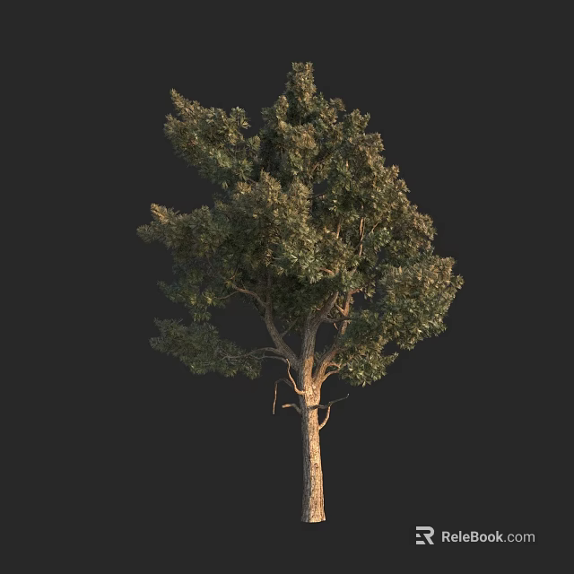 Tall Arbor With Dense Green Foliage And Strong Natural Trunk Structure 3d model 
