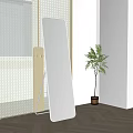 Full Length Standing Mirror In Modern Living Room With Potted Plants And Wooden Floor