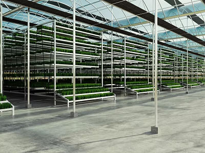 Spacious Indoor Farm With Multi Layer Metal Racks Growing Green Plants Under Glass Ceiling 3d model