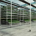Spacious Indoor Farm With Multi Layer Metal Racks Growing Green Plants Under Glass Ceiling