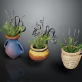 Lavender And Herb Plants In Decorative Planters With Various Styles For Home Decor