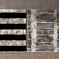 Stylish Square Area Rugs with Striped Patterns in Black and White on Wooden Floor
