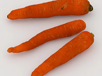 Close Up View of Fresh Orange Carrots with Natural Texture on White Background 3d model