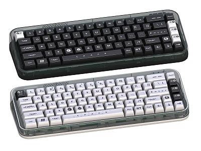 Black And White Wired Computer Keyboards With Transparent Case And Standard Layout 3d model