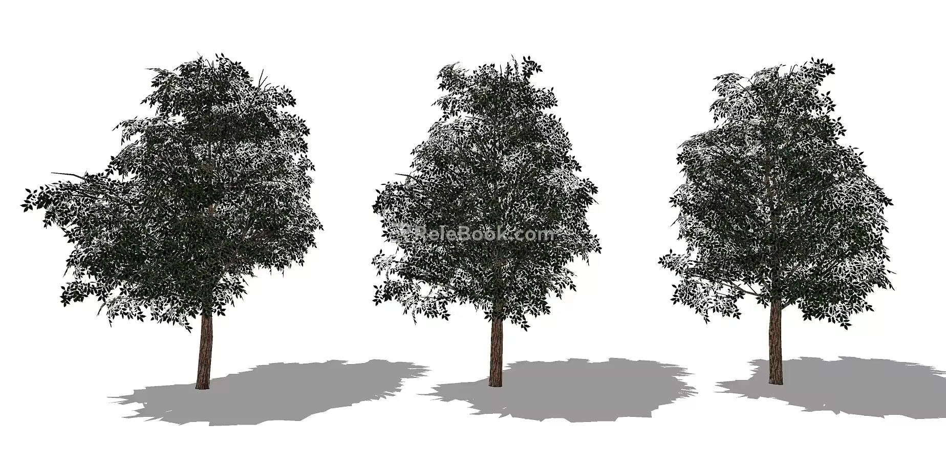 Modern Tree Big Trees 3d model