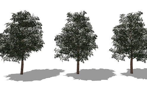 Modern Tree Big Trees 3d model