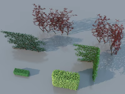 Different Types of Green and Red Bushes with Pruned Shaped Hedges 3d model