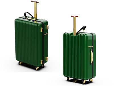 Modern Luggage model