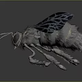 Realistic Detailed Fluffy Bee With Transparent Wings On Dark Background