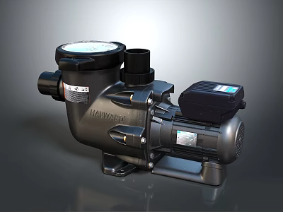 Hayward Heavy Duty Pool Pump Equipment With Powerful Motor And Stable Base 3d model