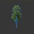 Green Tree with Lush Green Leaves and Brown Trunk on Neutral Gray Background