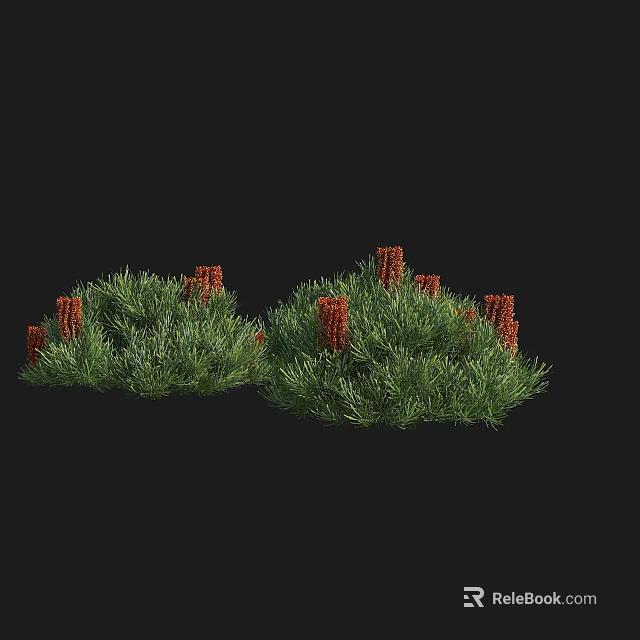 Vibrant Green Bushes With Red Berries And Lush Dense Leaf Foliage 3d model 