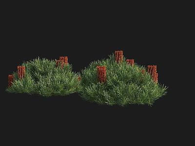 Vibrant Green Bushes With Red Berries And Lush Dense Leaf Foliage 3d model