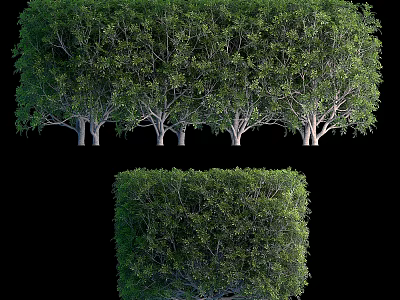 Lush Green Shrubs In Various Trimmed Shapes For Garden Landscaping Design 3d model