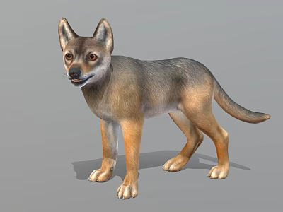 Realistic 3D Model Of Gray And Brown Wolf Standing In Neutral Gray Background 3d model
