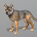 Realistic 3D Model Of Gray And Brown Wolf Standing In Neutral Gray Background