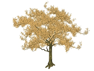 Modern Tree Yellow Tree 3d model