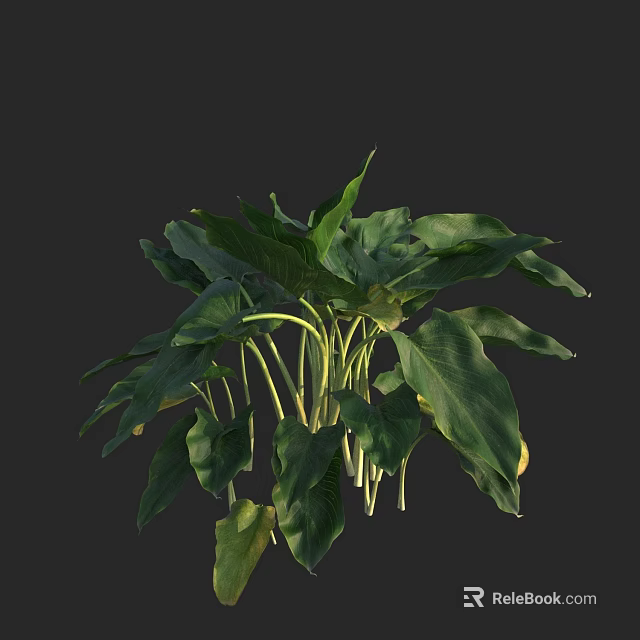 Lush Aquatic Plants With Green Leaves And Healthy Growth In Water Garden 3d model 
