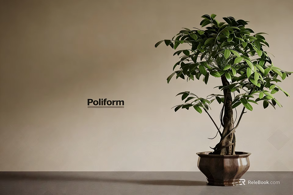 Potted Bonsai Plant With Twisted Trunk Green Leaves And Brown Ceramic Pot 3d model 