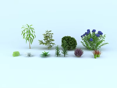 Various Types of Decorative Shrubs with Green Purple Foliage and Blue Flowers 3d model