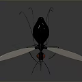 Black Toy Insect With Red Eyes Transparent Wings And Grey Background