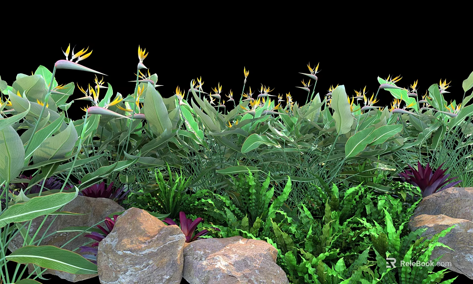 Vibrant Garden Featuring Bird of Paradise Flowers Large Green Leaves Ferns and Stones 3d model 
