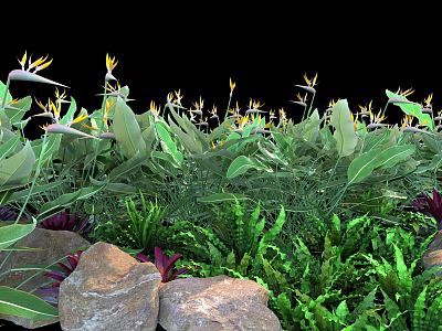 Vibrant Garden Featuring Bird of Paradise Flowers Large Green Leaves Ferns and Stones 3d model