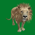 Majestic Lion With a Thick Mane Isolated Standing on Green Background
