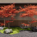 Red Leaf Trees with Green Grass Pebble Ground Stone Water Feature and Wooden Background Wall