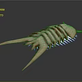 Detailed Arthropod Like Creature Organ And Hair Features With Segmented Body Spines And Hairy Texture