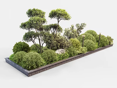 Lush Green Shrubs and Small Trees in Rectangular Planter with Stones and Foliage 3d model