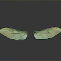 Amber Colored Symmetric Wings With Intricate Texture And Reflection On Black Background