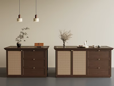 Brown Wooden Cabinets With Woven Doors Drawers And Decorative Plants For Home Decor 3d model