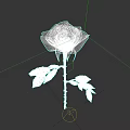 Red Rose in a Vase with Green Leaves and Gray Background
